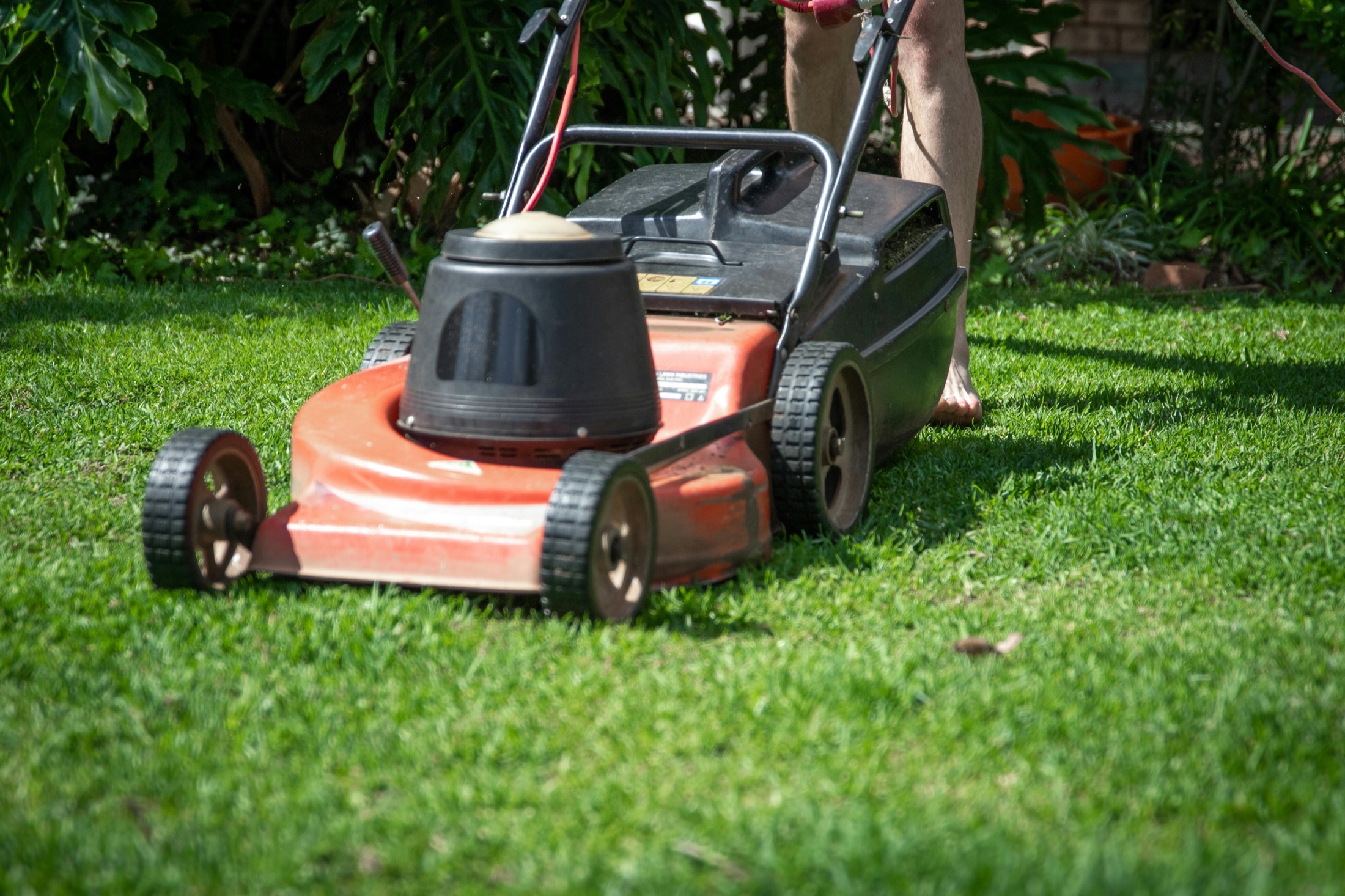 Lawn mower creating a clean, even cut on a healthy green lawn